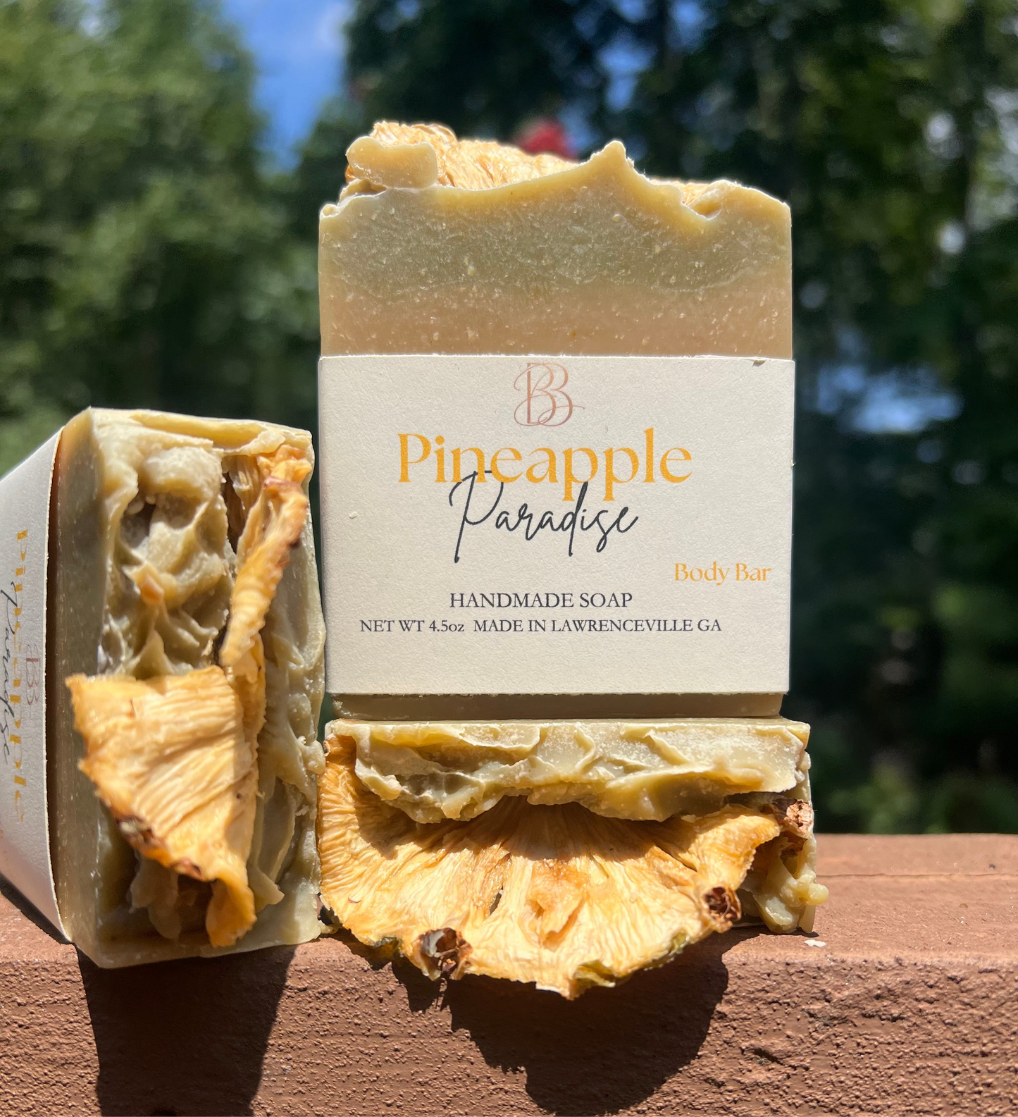 Pineapple Paradise