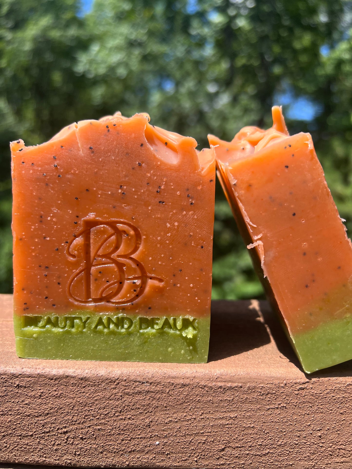 Limited edition!! Watermelon Scrub Bar